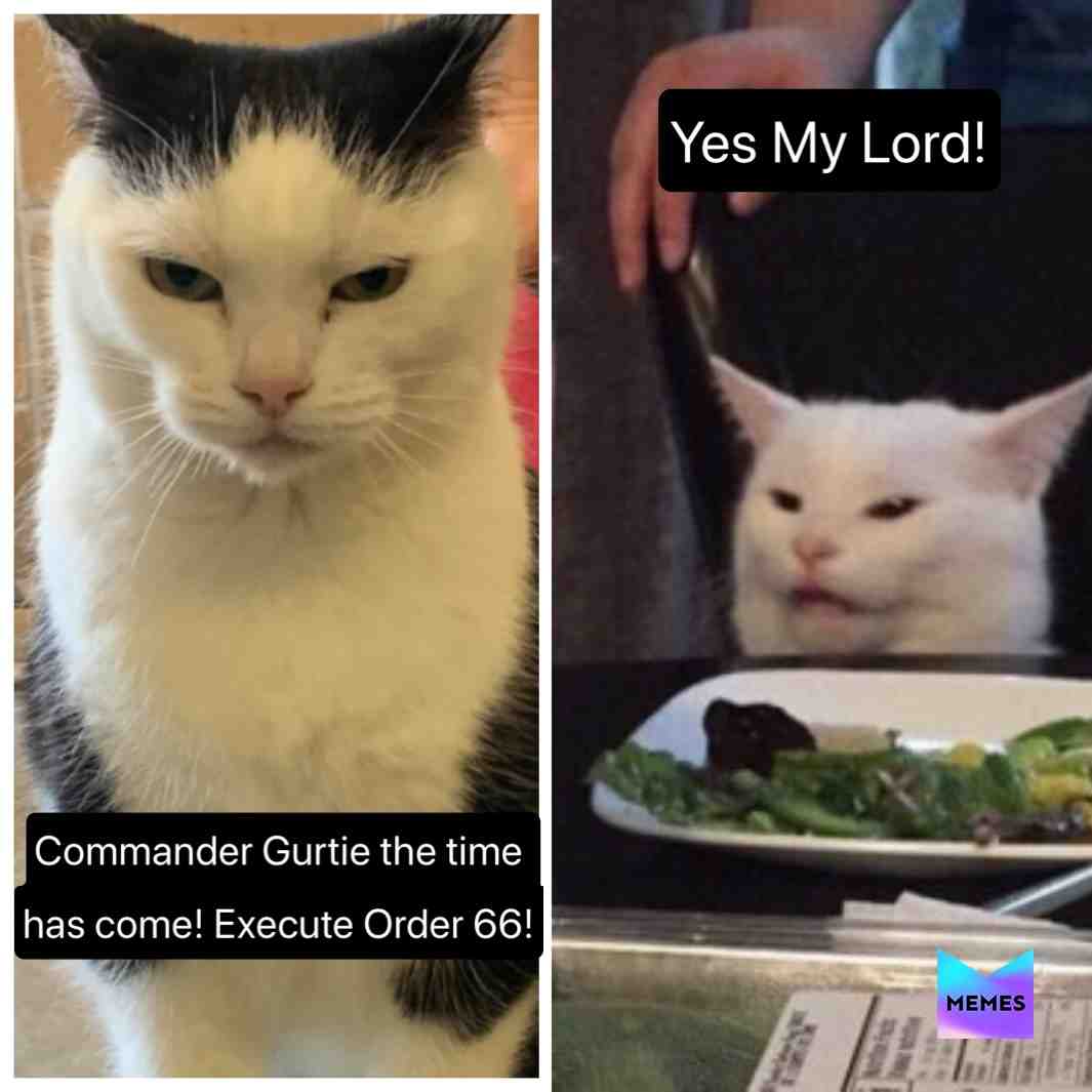 Right before the infamous Meme of 2019 Commander Gurtie receives his orders!
  #starwars