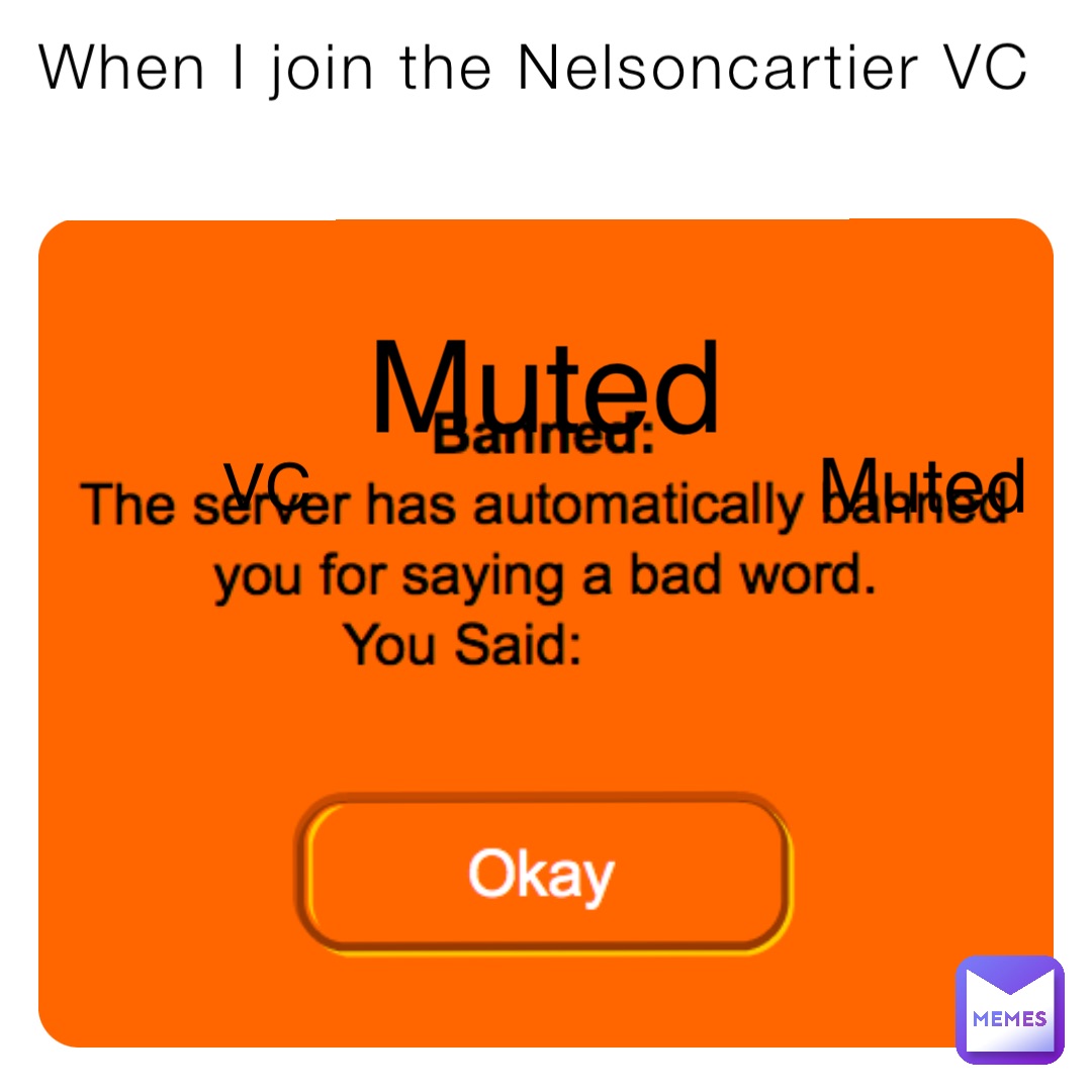 When I join the Nelsoncartier VC Muted Muted VC