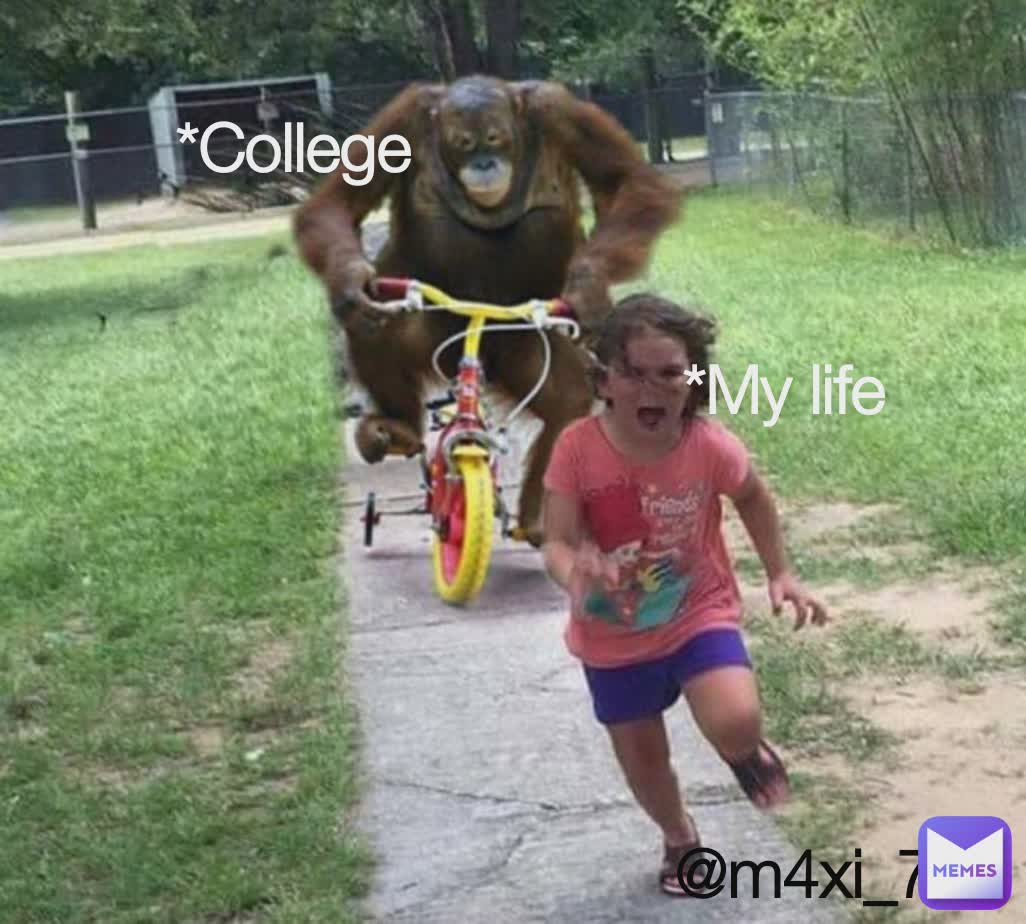 *College  *College  *My life @m4xi_71 