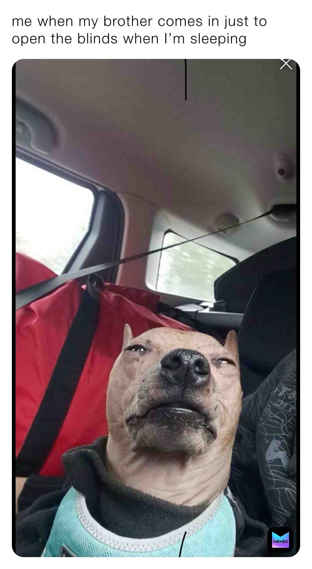 β #feature β #meme β #funny
