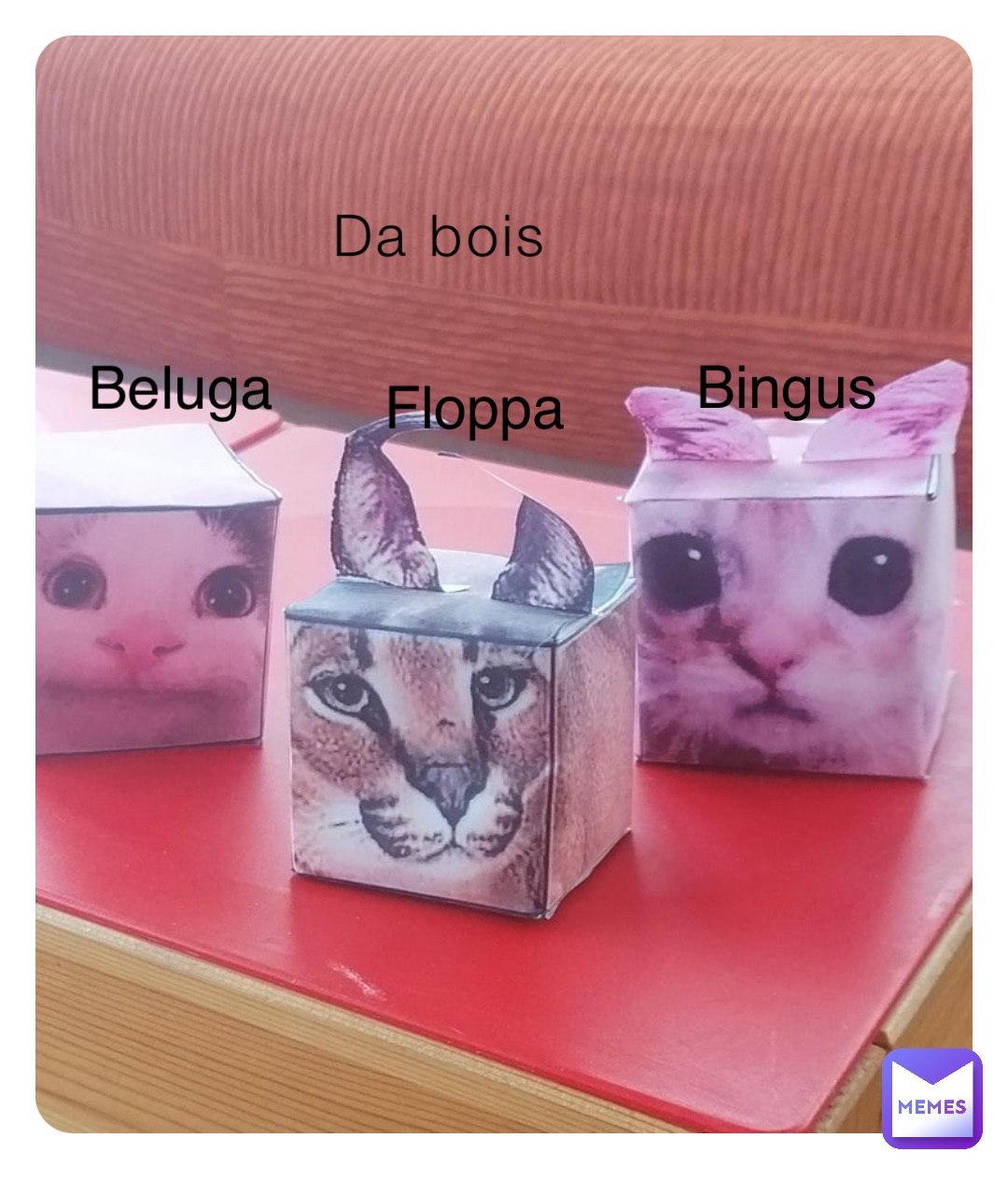 Da bois Bingus Floppa Beluga