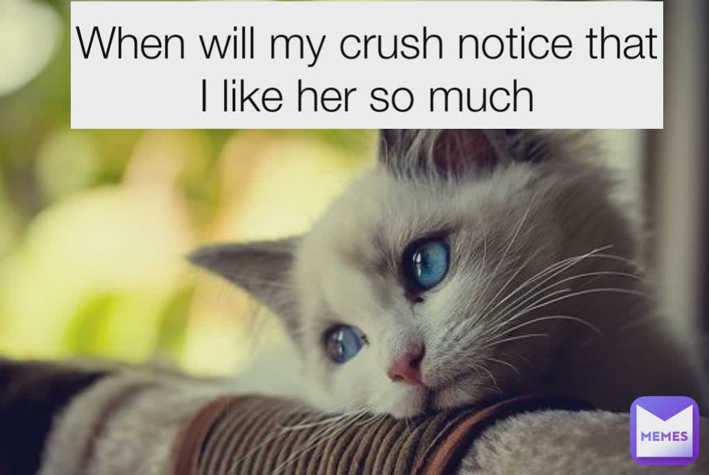 When Will My Crush Notice That I Like Her So Much Yourfriend123 Memes