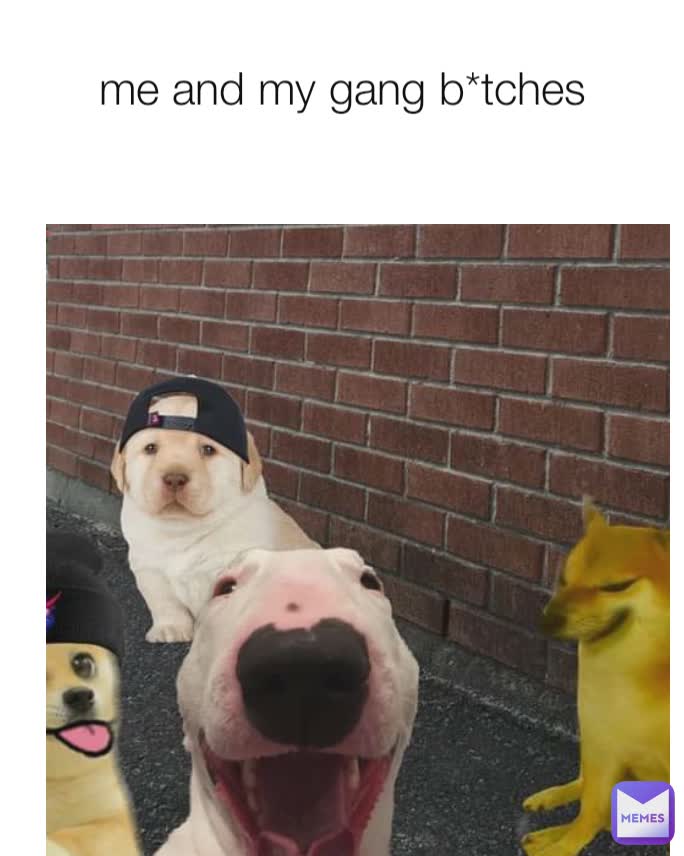 me and my gang b*tches