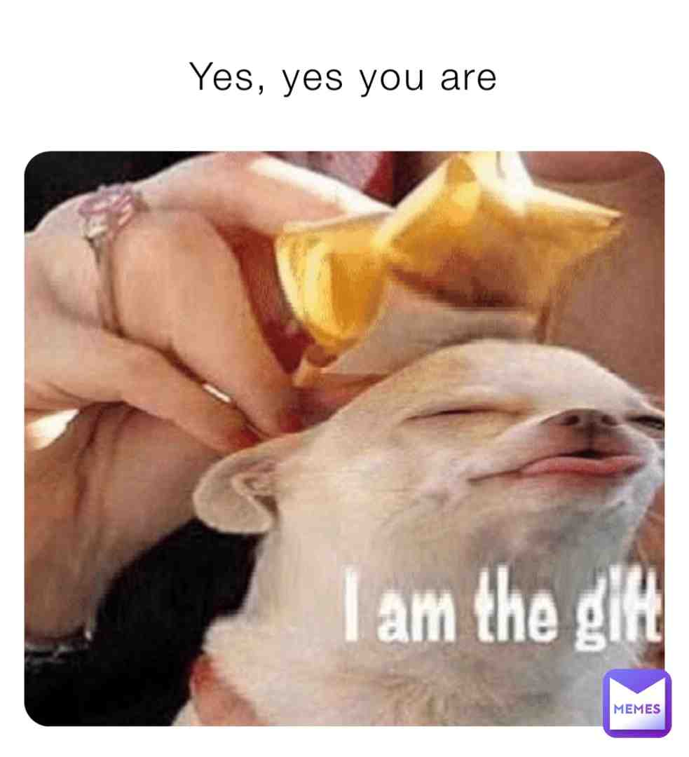Meme shared by @bongo_for_life