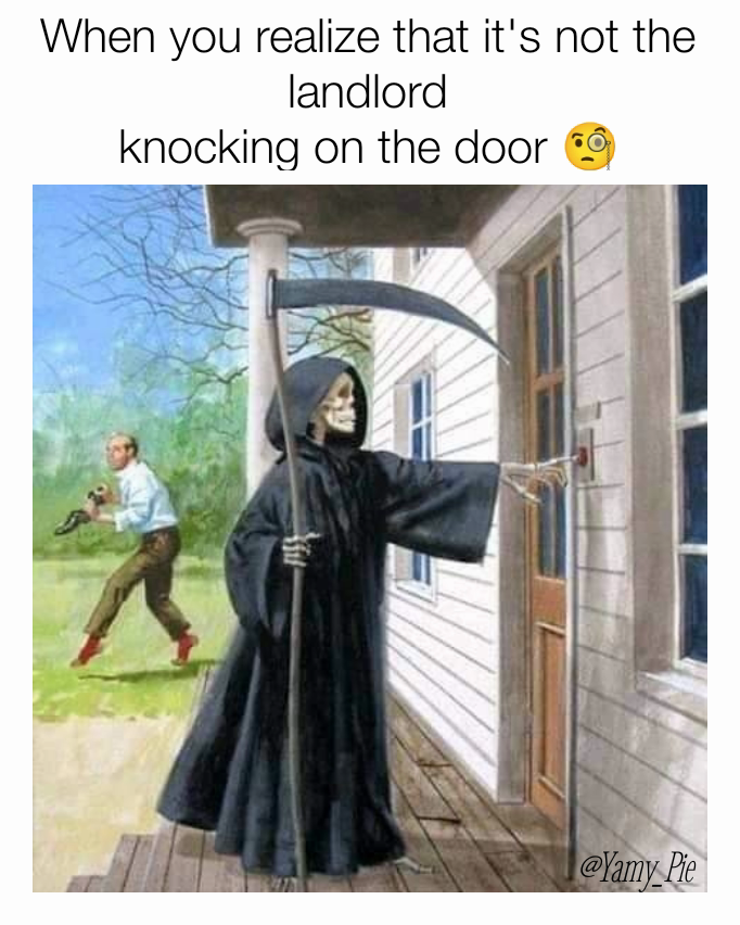 When you realize that it's not the landlord
knocking on the door 🧐 @Yamy_Pie