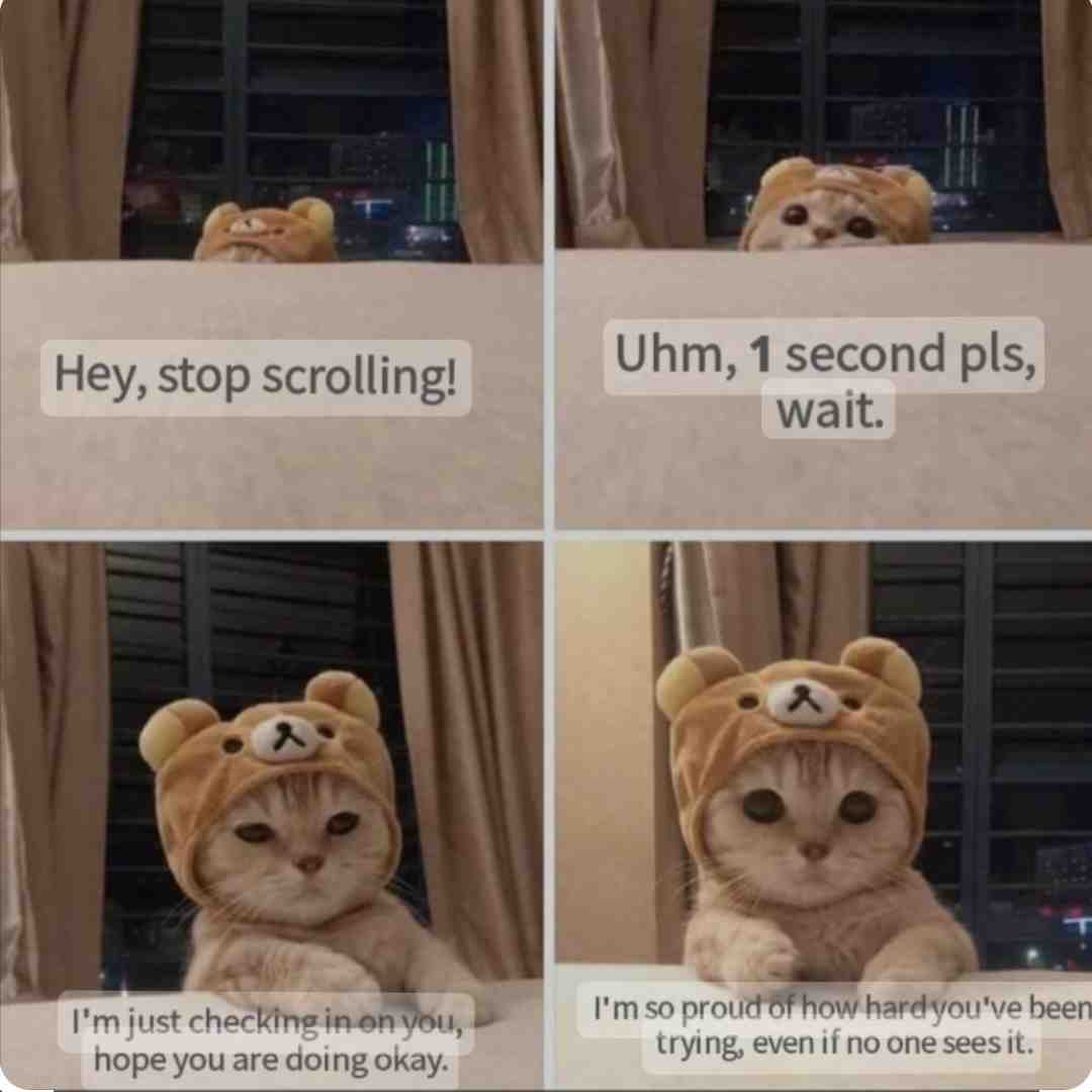 Meme shared by @IJustKilled3men