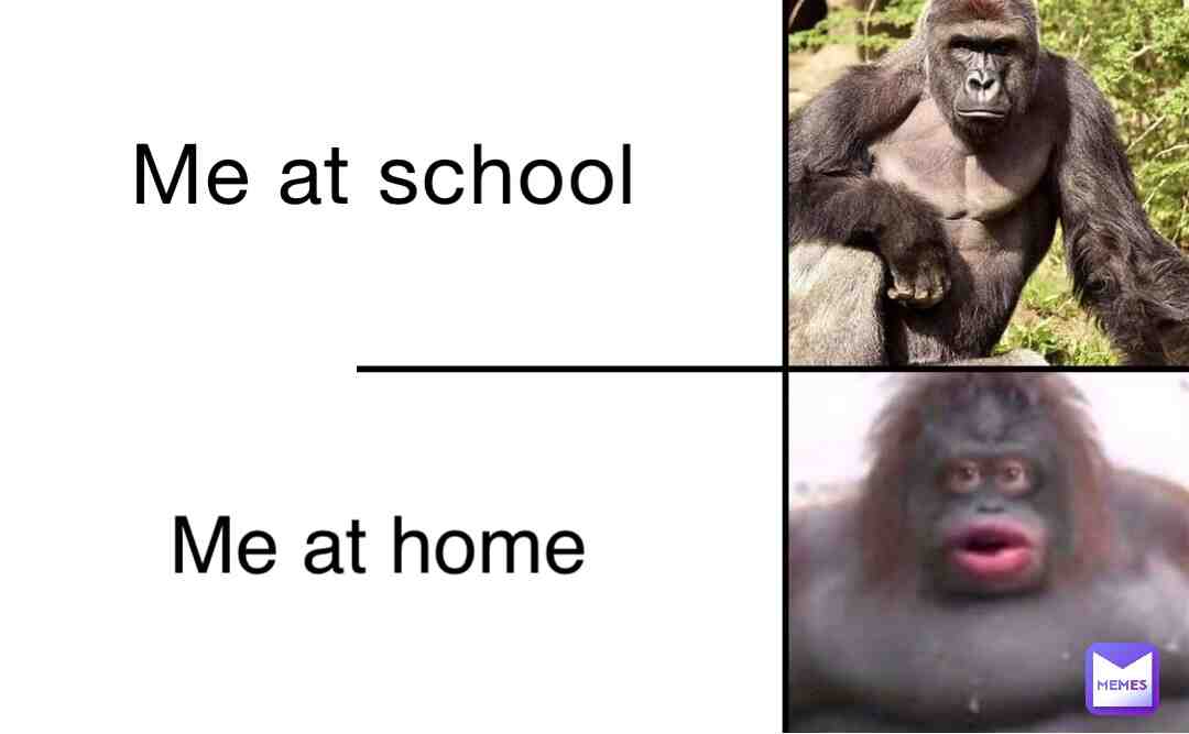 Meme shared by @IJustKilled3men