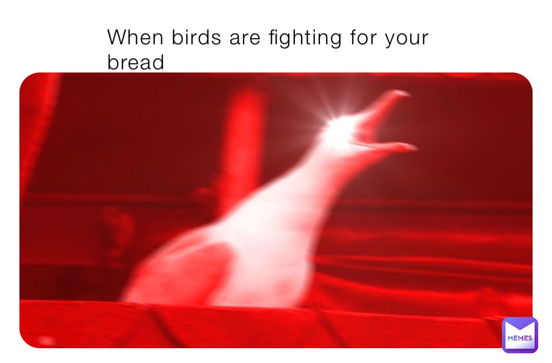 Meme by TheOneAndOnlyWall