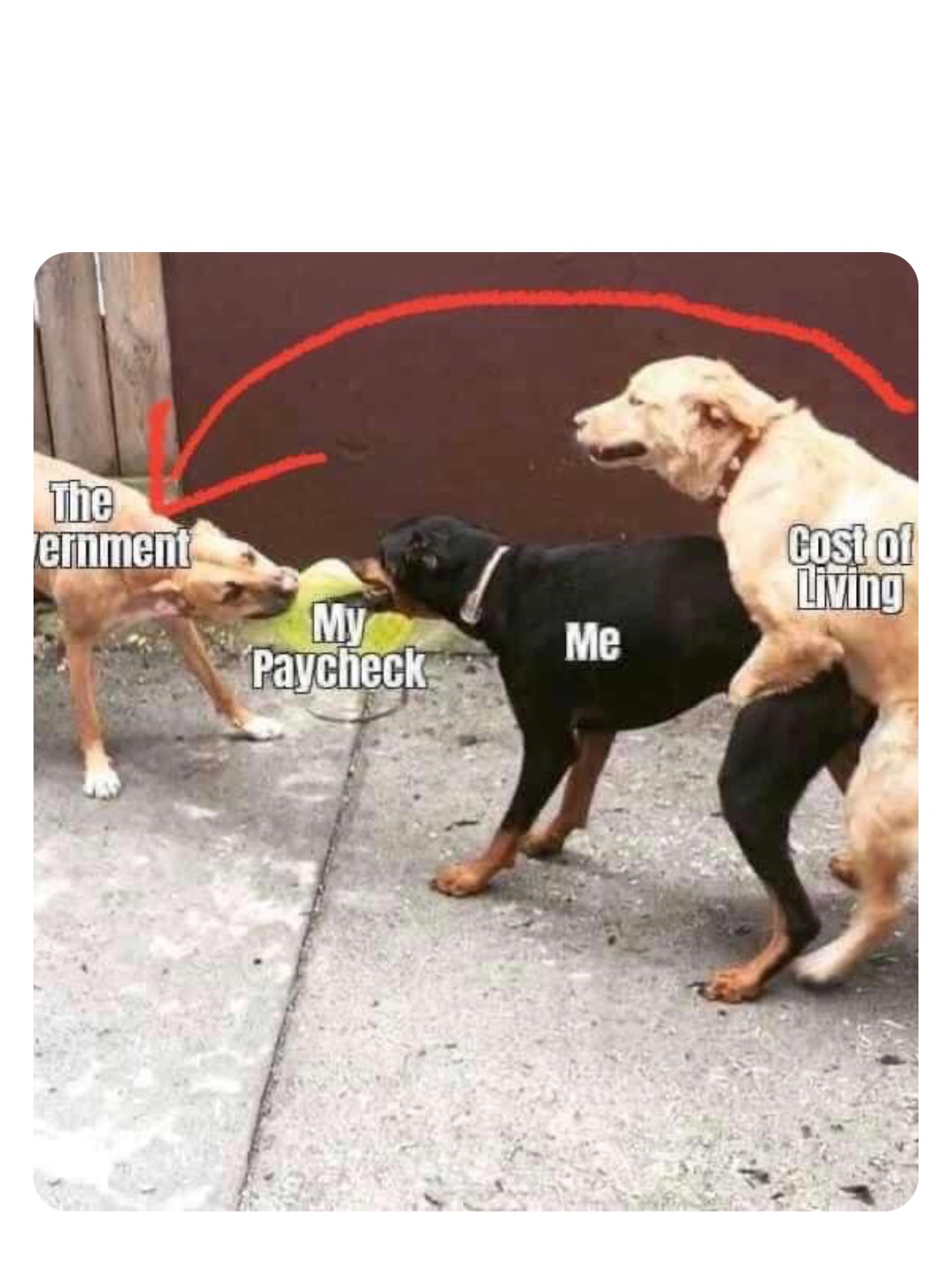 Double tap to edit