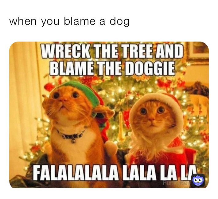 when you blame a dog