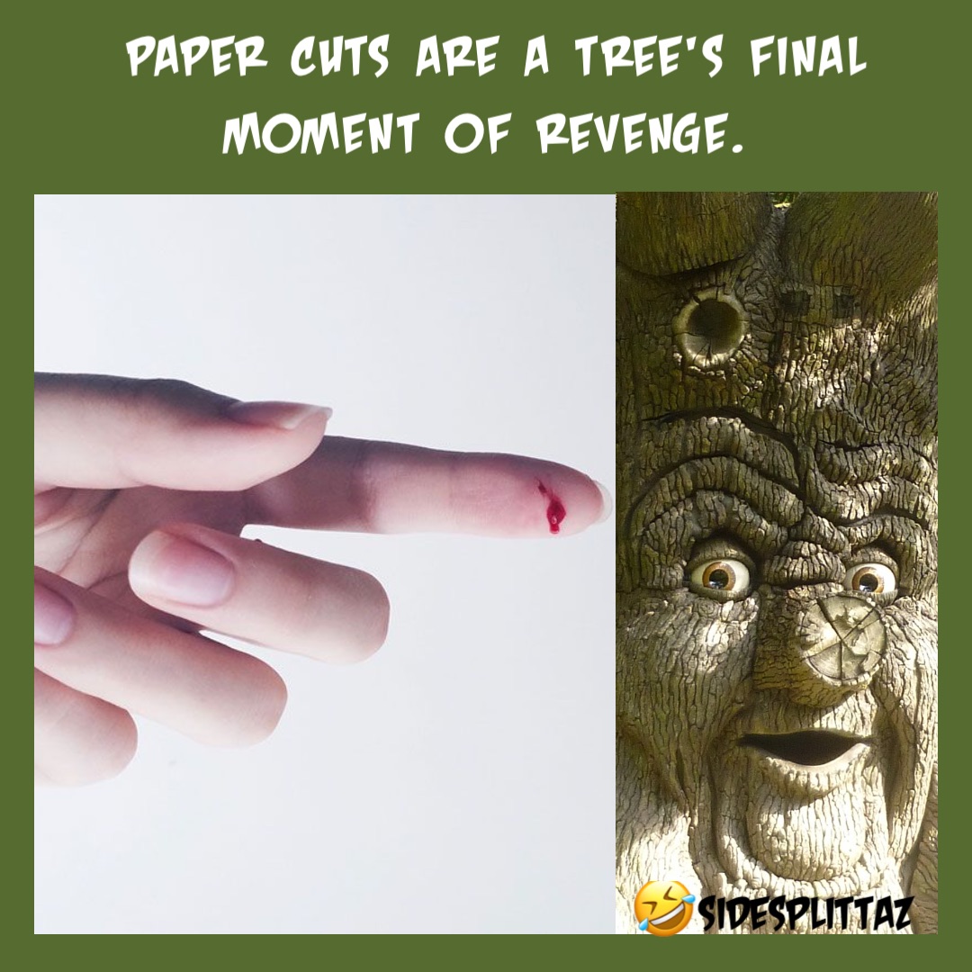 Paper cuts are a tree’s final moment of revenge. 🤣SIDESPLITTAZ