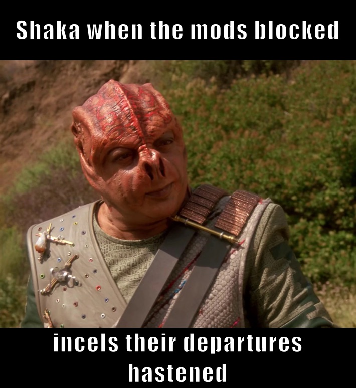 Shaka when the mods blocked incels their departures hastened 