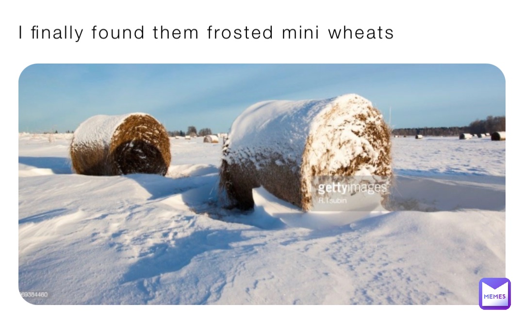 I finally found them frosted mini wheats