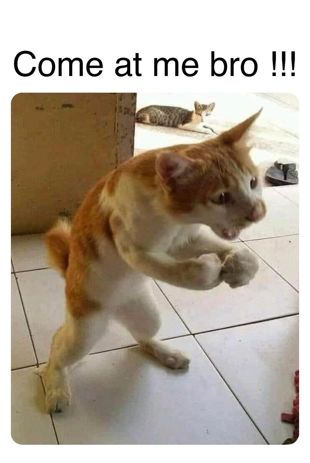Double Tap To Edit Come At Me Bro Lolomc 7 Memes