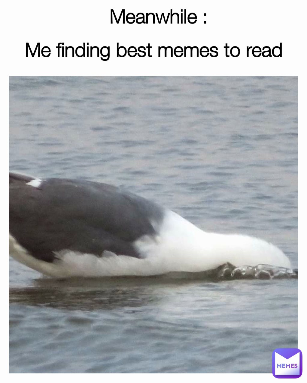 Me finding best memes to read Meanwhile :