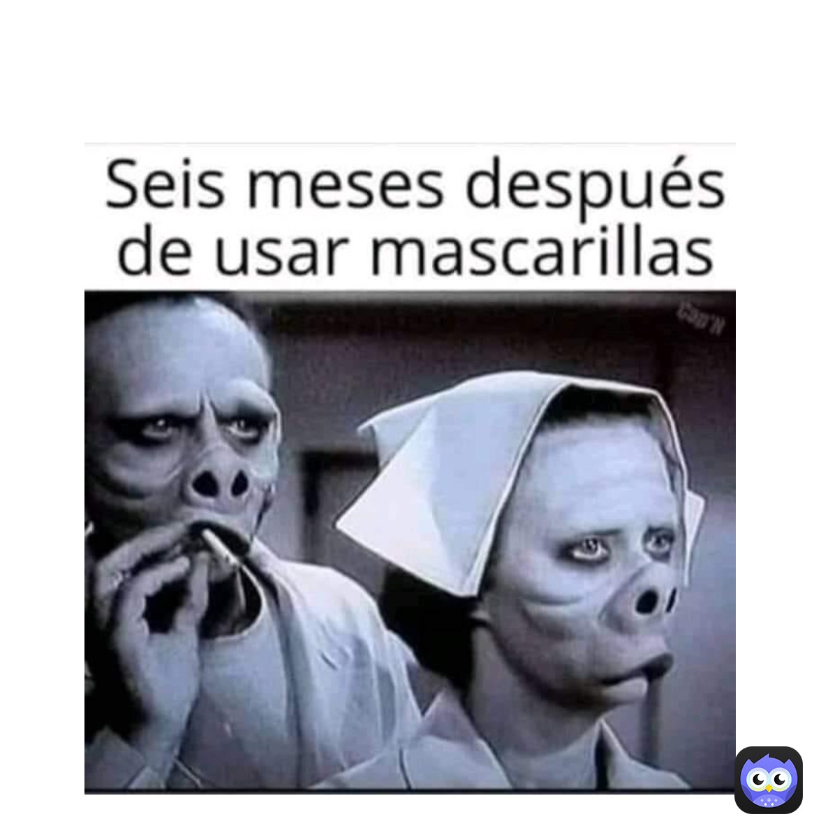 Post by @cmercado922 | Memes, image size:1176x1182