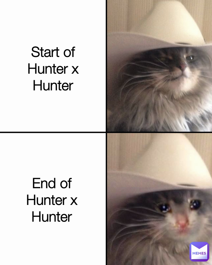 End of Hunter x Hunter Start of Hunter x Hunter