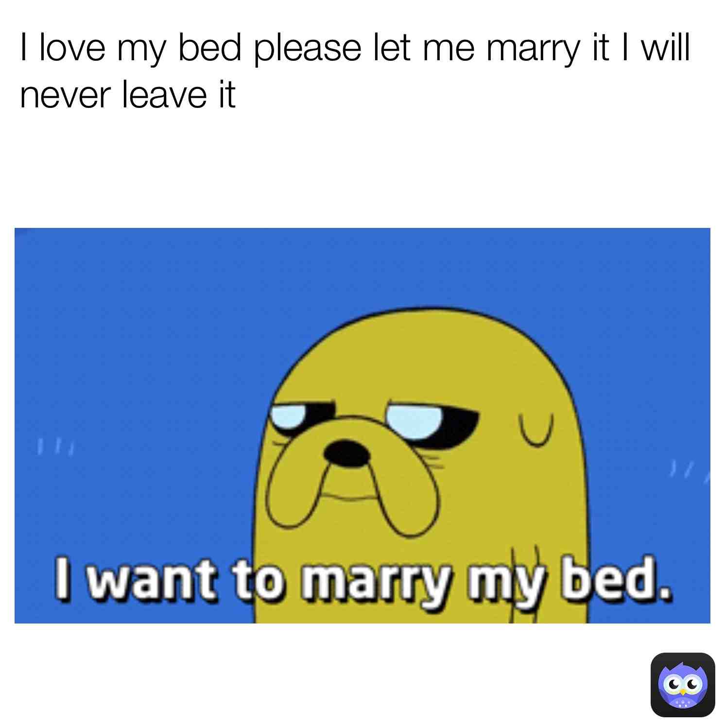  #yass #yass #yass
