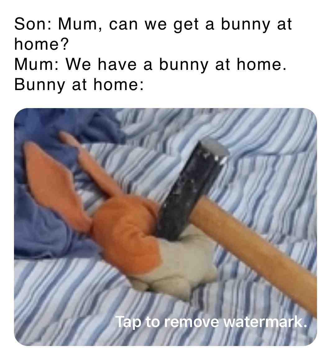 Oof, that bunny must be hurting from that SLEDGEHAMMER