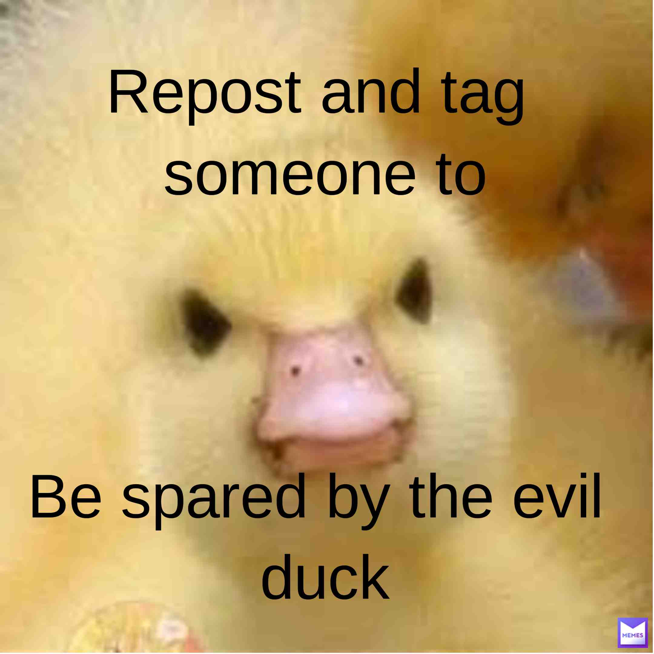 I will not let anyone be spared HAHAHAHA