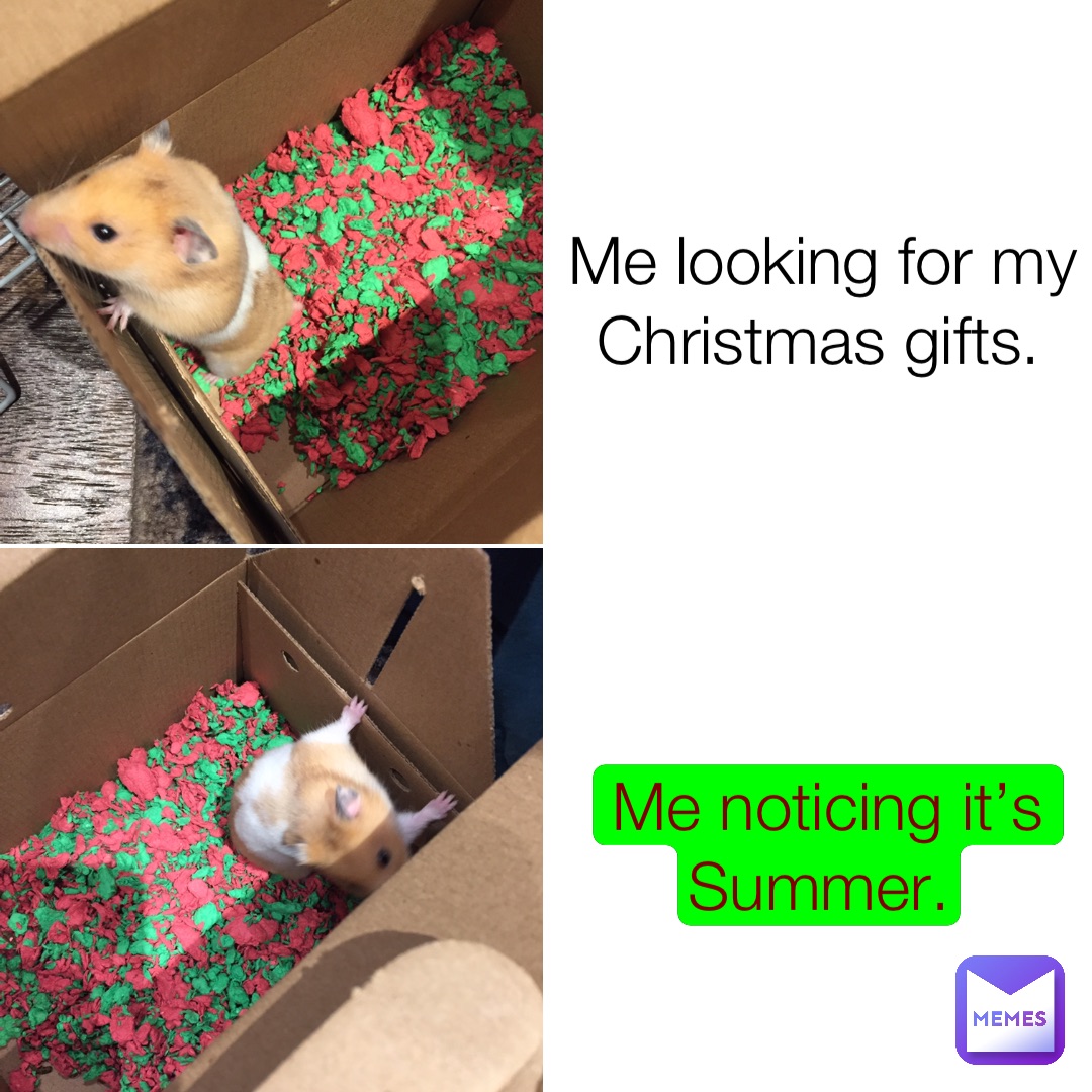 Me looking for my Christmas gifts. Me noticing it’s Summer.