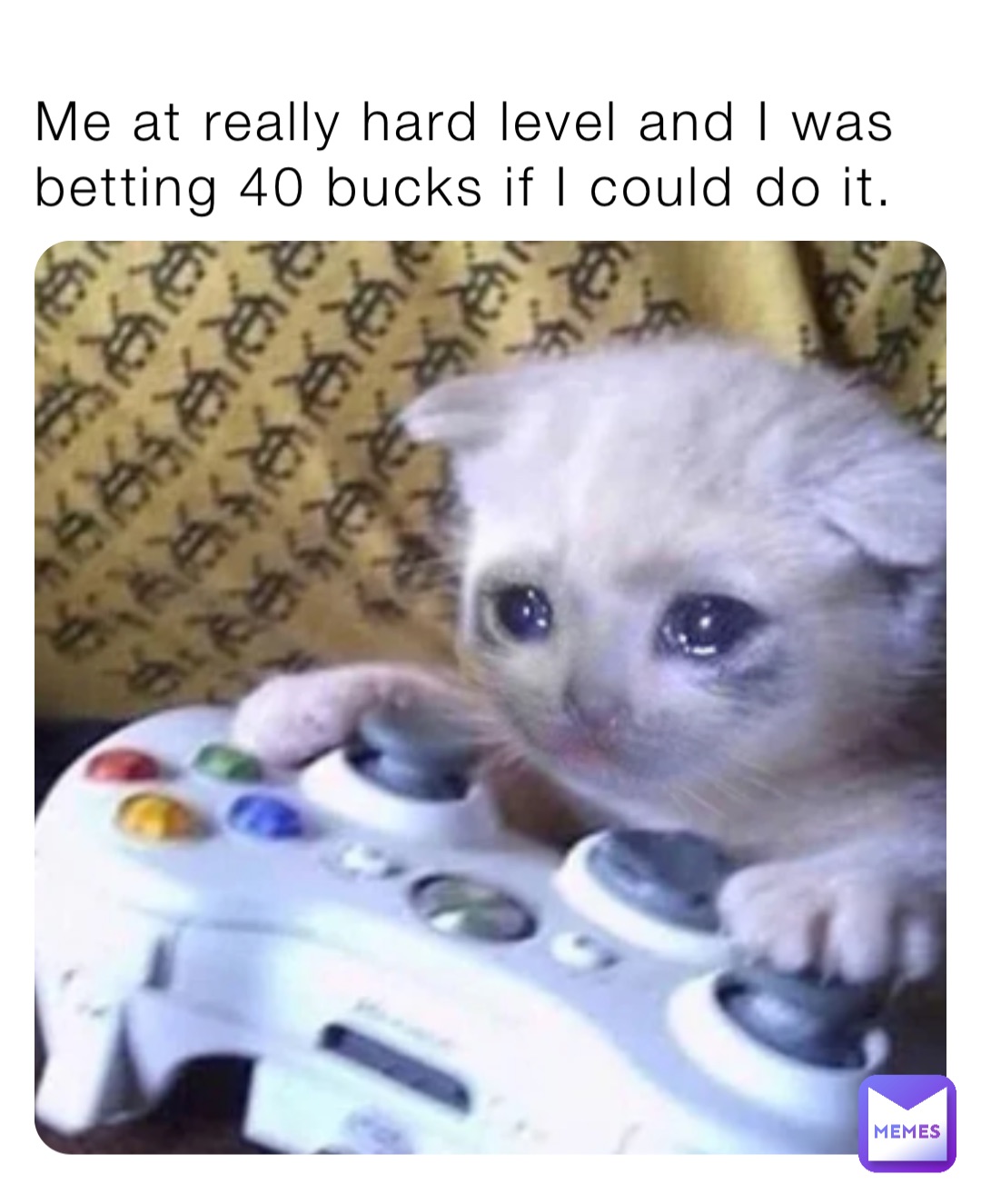 Me at really hard level and I was betting 40 bucks if I could do it.