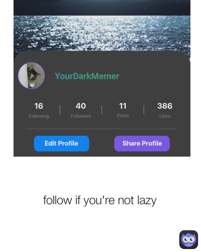 follow if you're not lazy