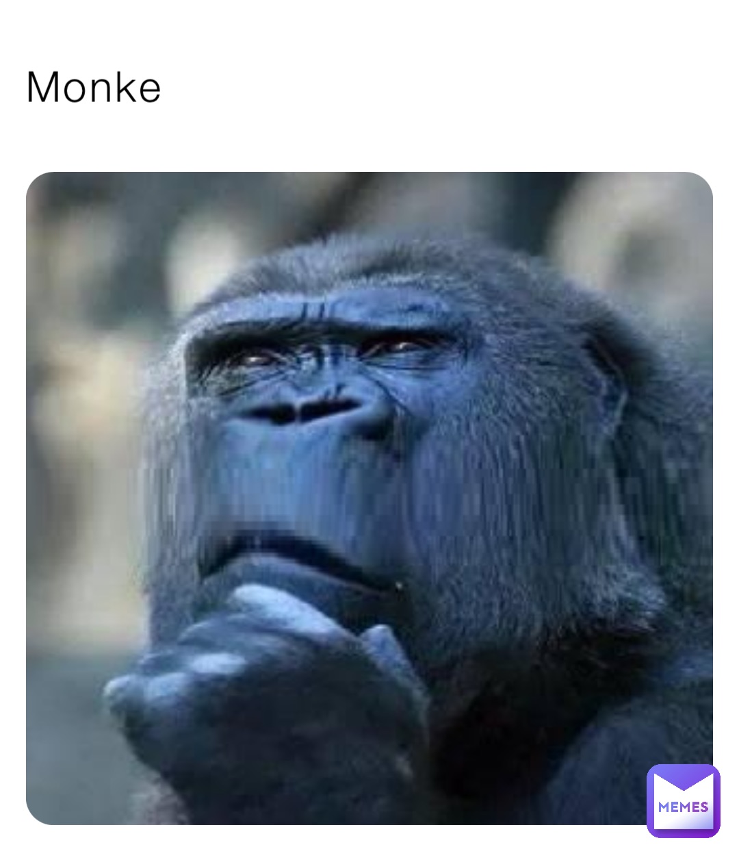 Monke