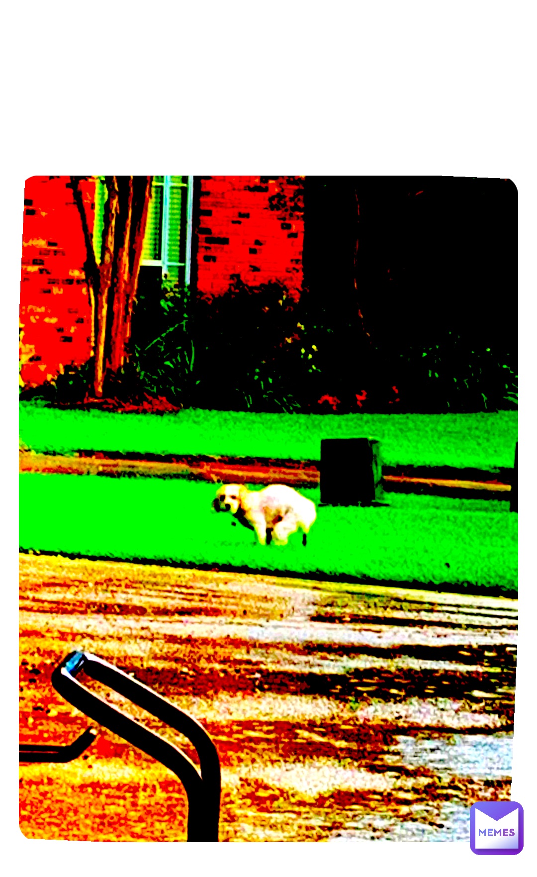 Meme by RyZe_Incorporated