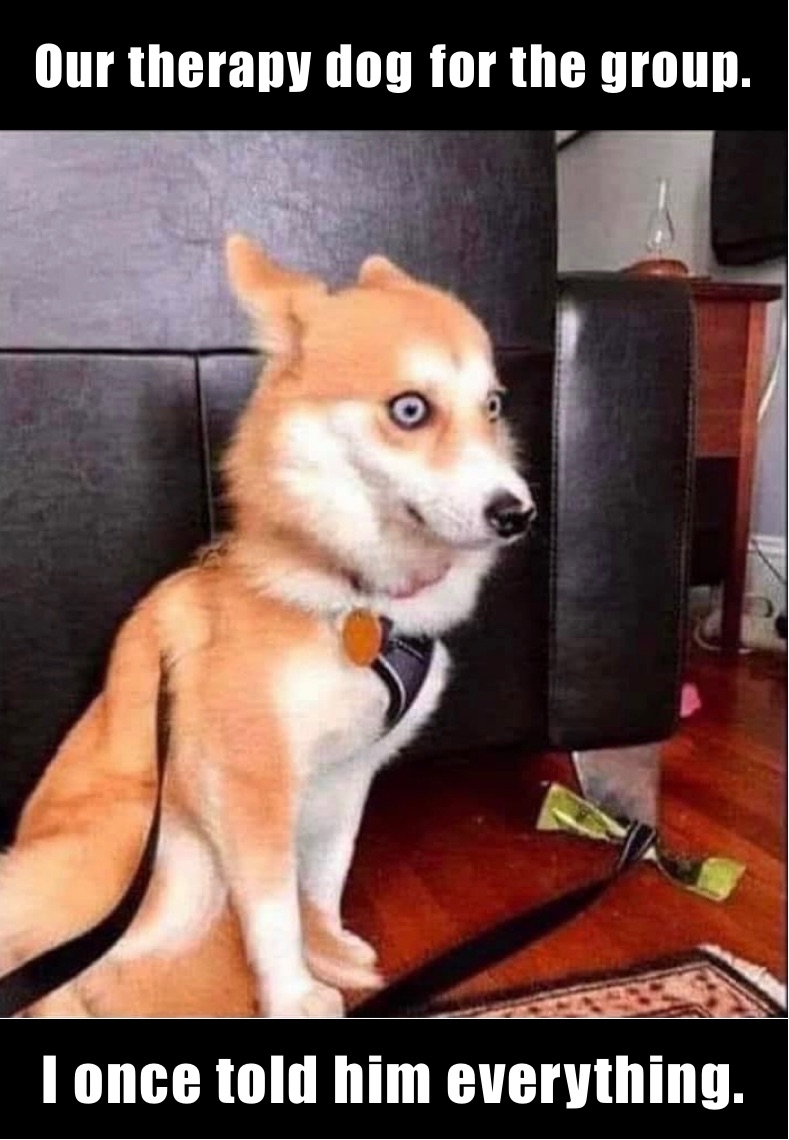 Our therapy dog ​​for the group. I once told him everything.
