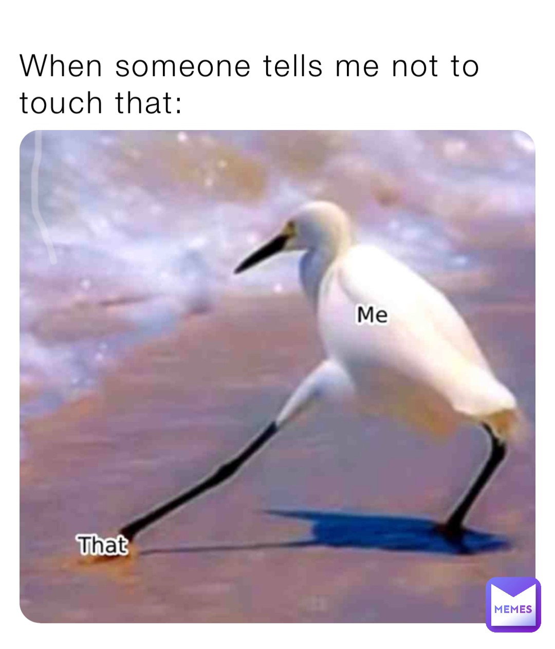 When someone tells me not to touch that: