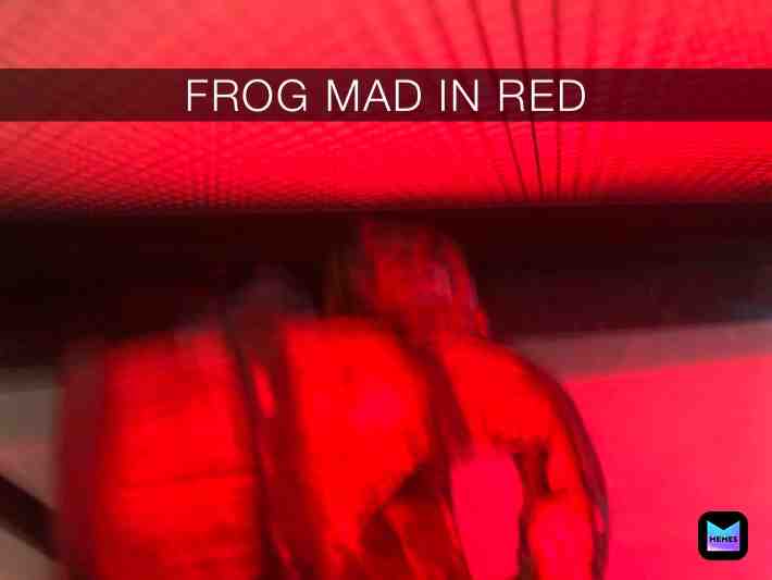 What other pick of frog I do?