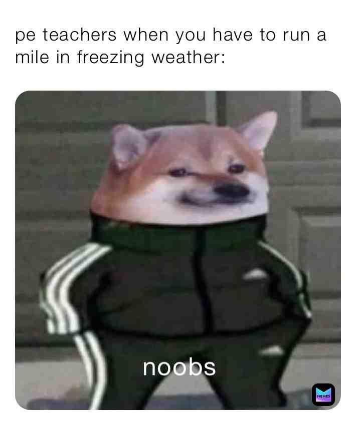 Meme shared by @mrfuny