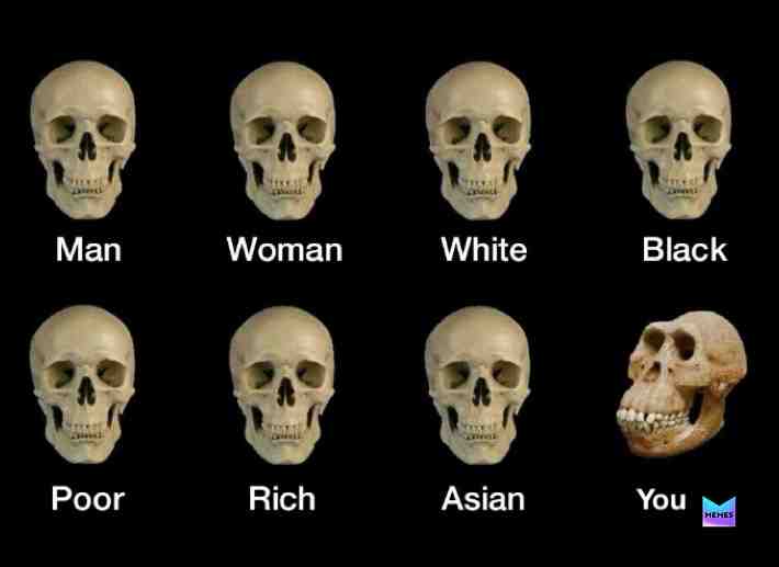 Meme shared by @mrfuny