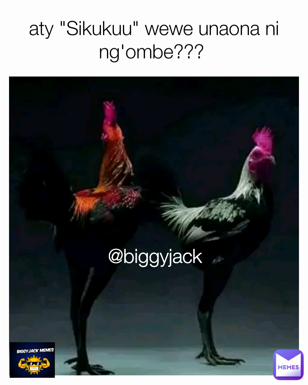 Biggyjack Aty Sikukuu Wewe Unaona Ni Ng Ombe Biggyjack Memes Biggyjack Aty Sikukuu Wewe Unaona Ni Ng Ombe Biggyjack Memes