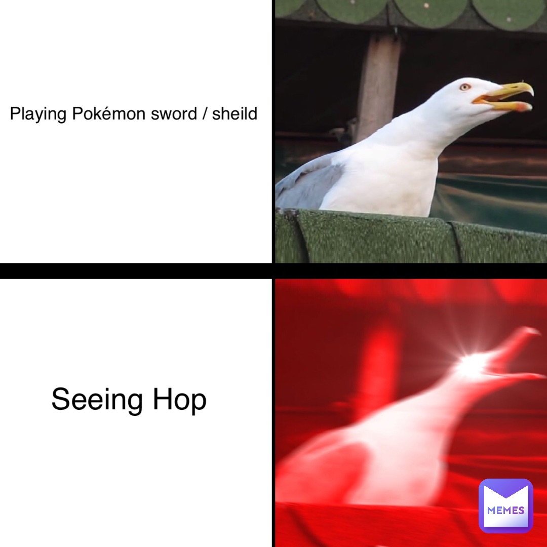 Playing Pokémon sword / sheild Seeing Hop