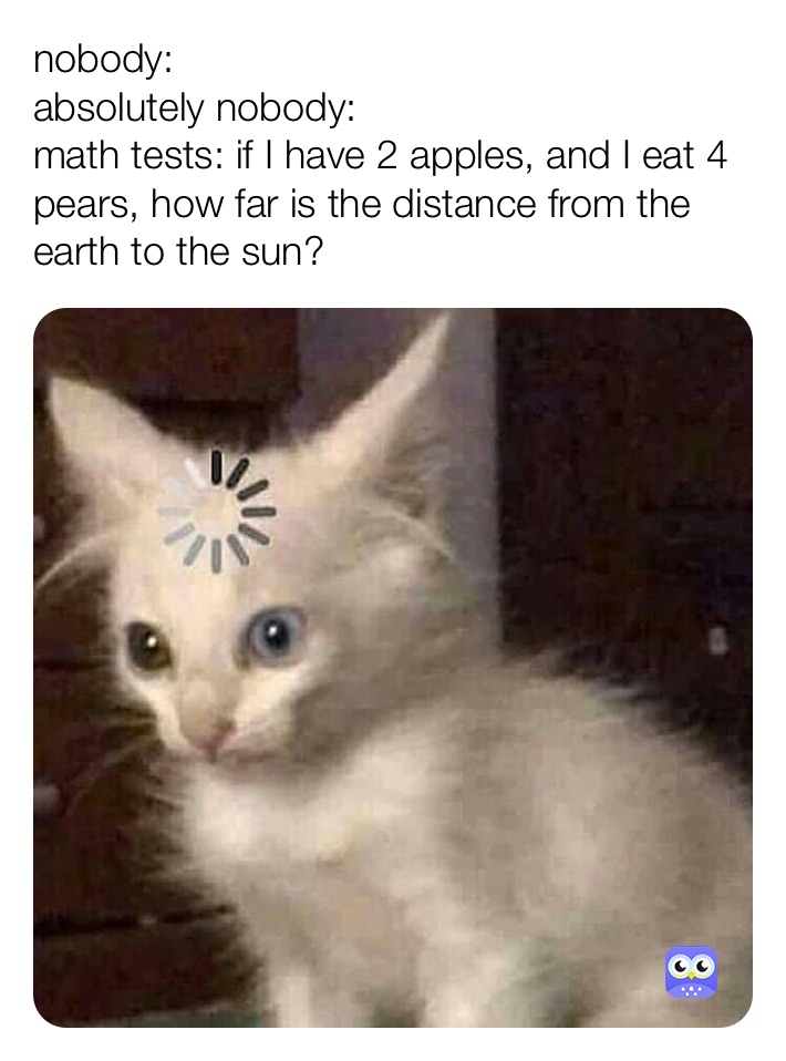 nobody: 
absolutely nobody: 
math tests: if I have 2 apples, and I eat 4 pears, how far is the distance from the earth to the sun?