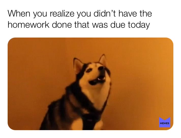Ok, you should go follow my Instagram for more amazing and daily memes. \ud83d\udc49\ud83e\udd20\ud83d\udc49@clean.doggo.memes
\ud83d\udc3e
\ud83d\udc3e
\ud83d\udc3e
#memes #meme #follow #like #love #lol #post #dailymemes #lolmemes #funny #hilarious #nooneusesthisapp #ok #okbye #thanks #jokes #joke #thankunext #bye