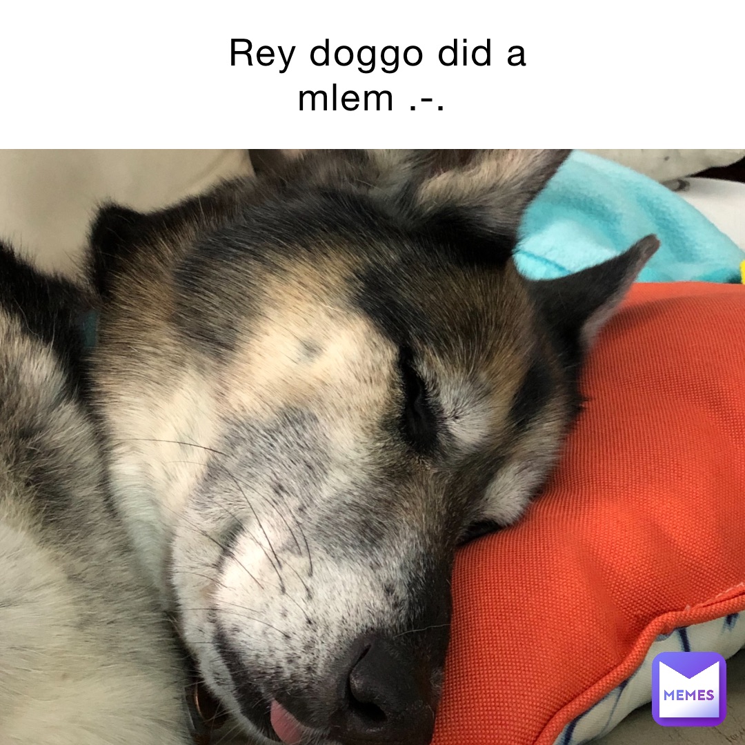 Rey doggo did a mlem .-.