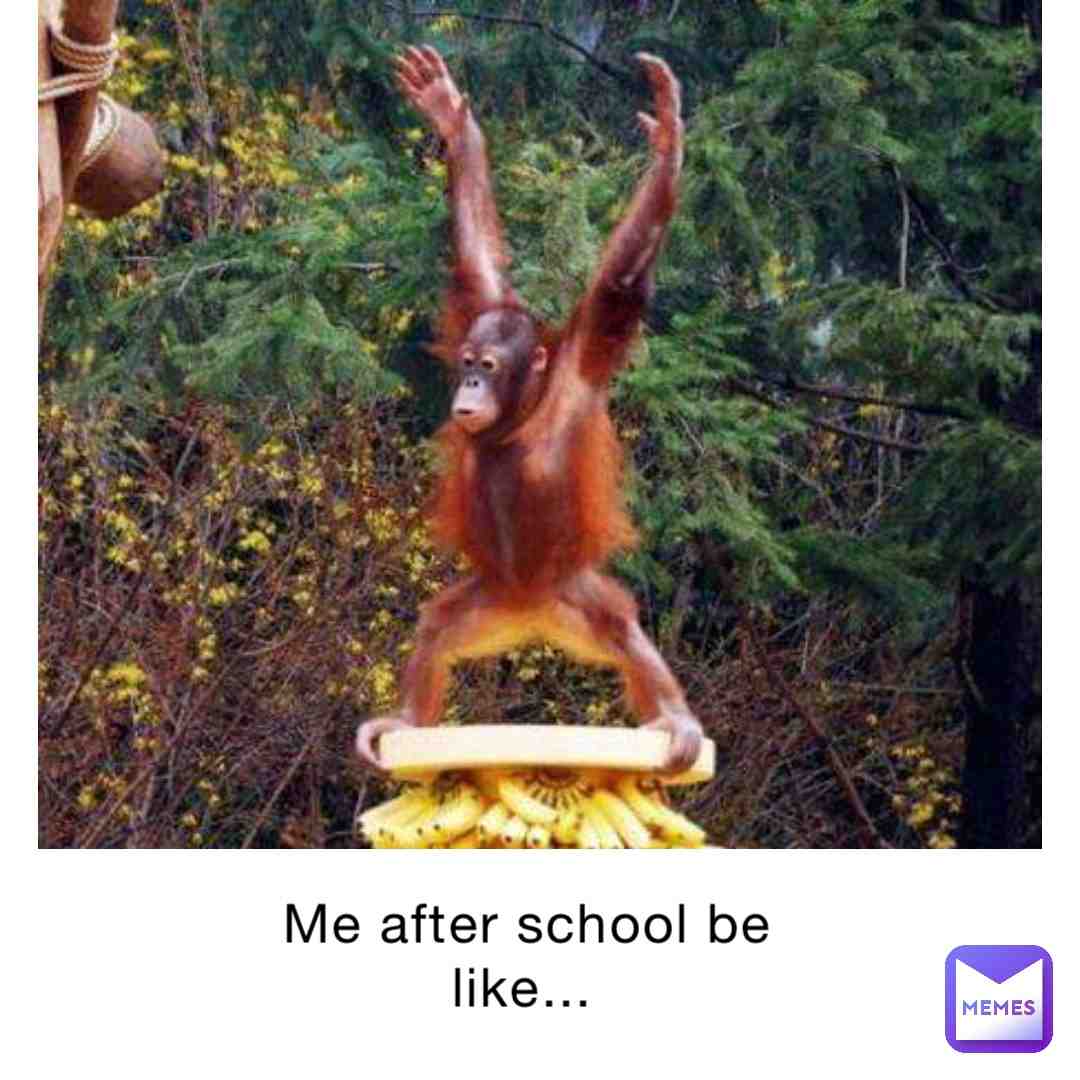 Meme shared by @Official_Tiko