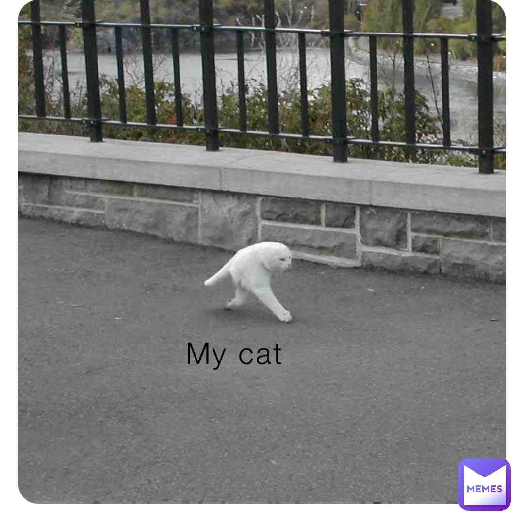 Meme shared by @Official_Tiko