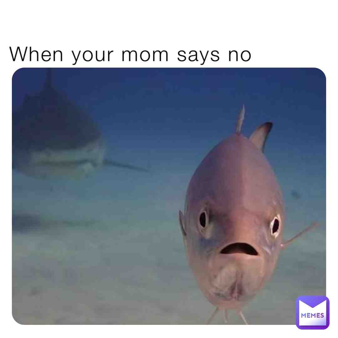 Meme shared by @Official_Tiko