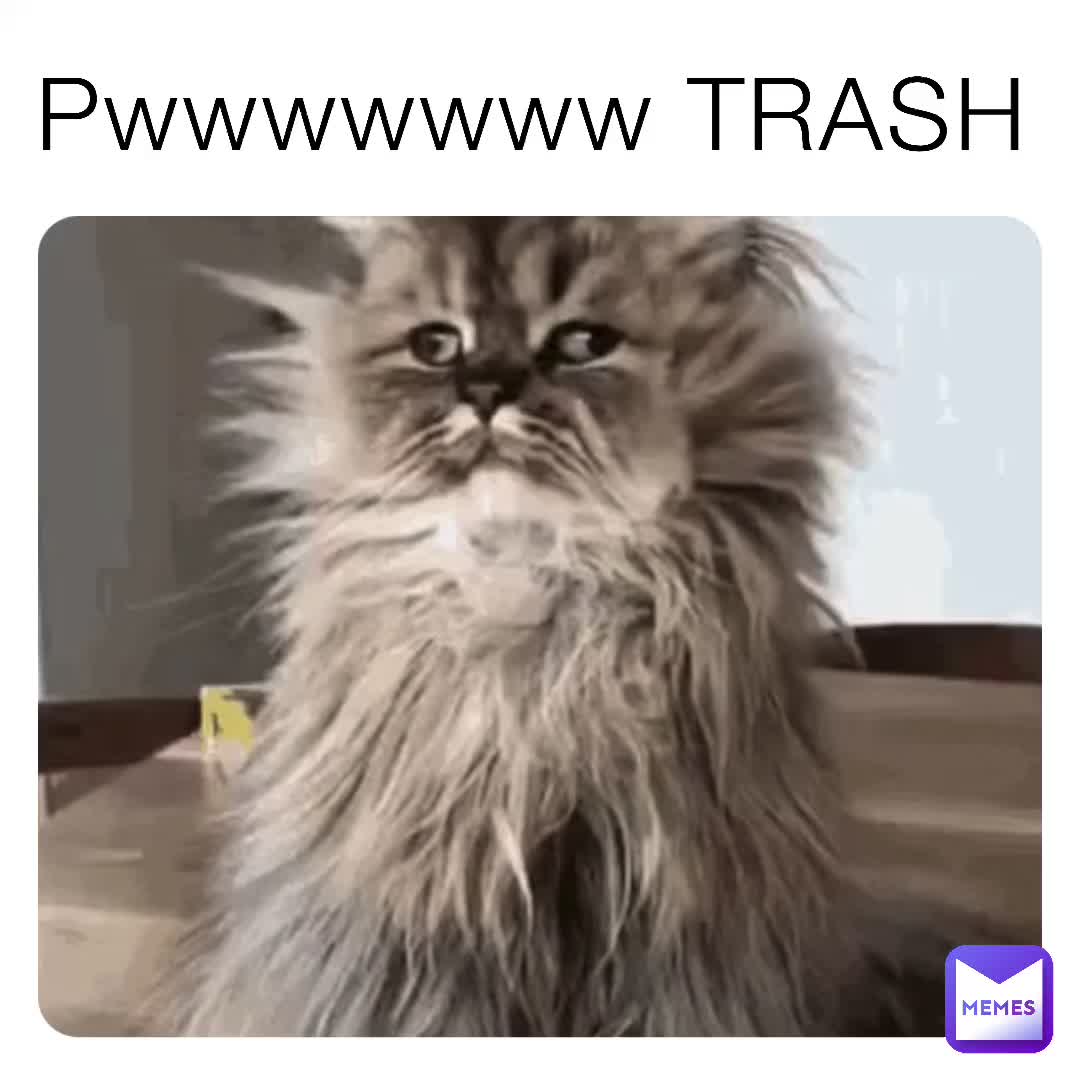 Meme shared by @Official_Tiko