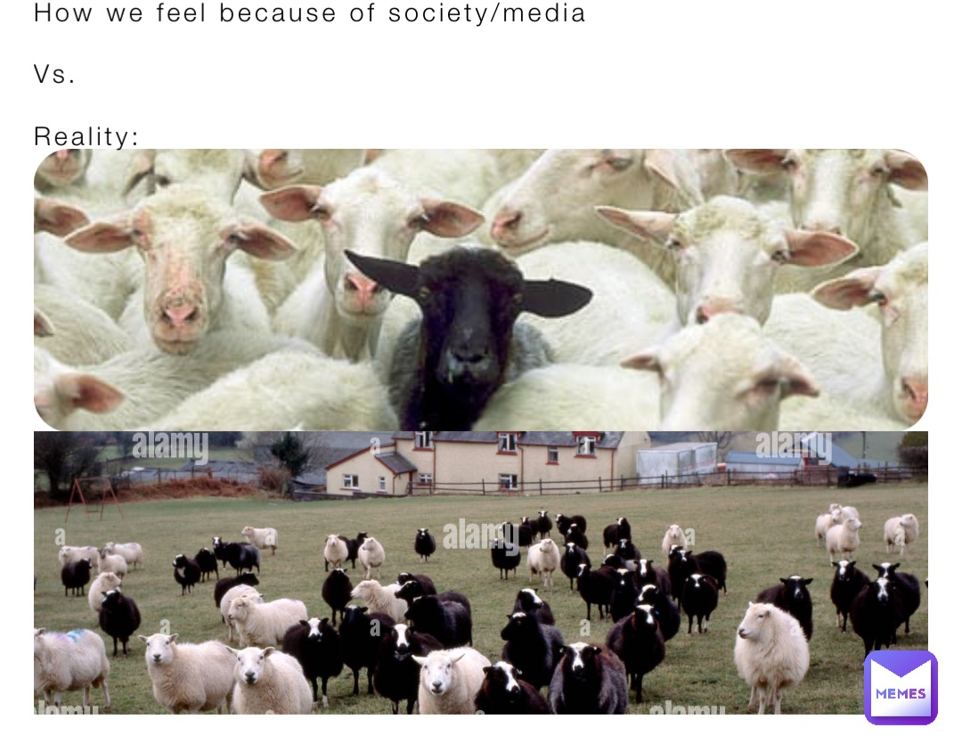 How we feel because of society/media

Vs.

Reality: