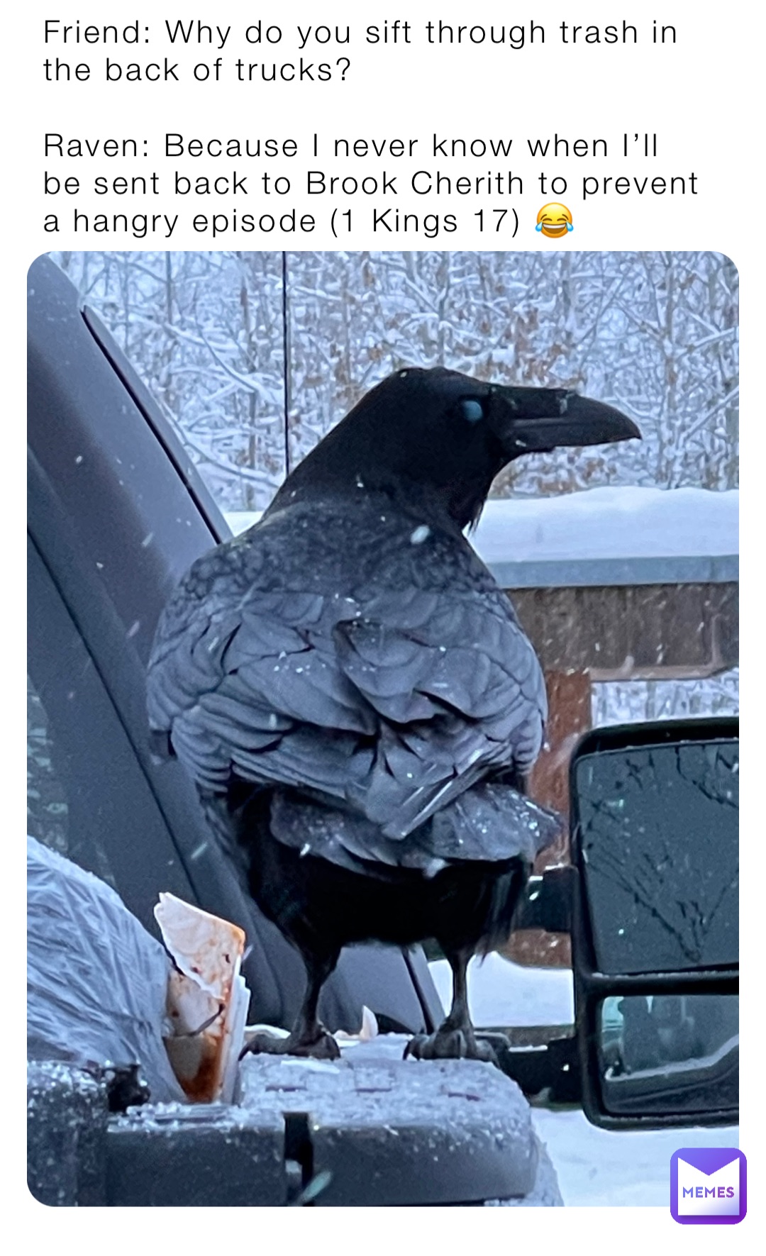 Friend: Why do you sift through trash in the back of trucks?

Raven: Because I never know when I’ll be sent back to Brook Cherith to prevent a hangry episode (1 Kings 17) 😂