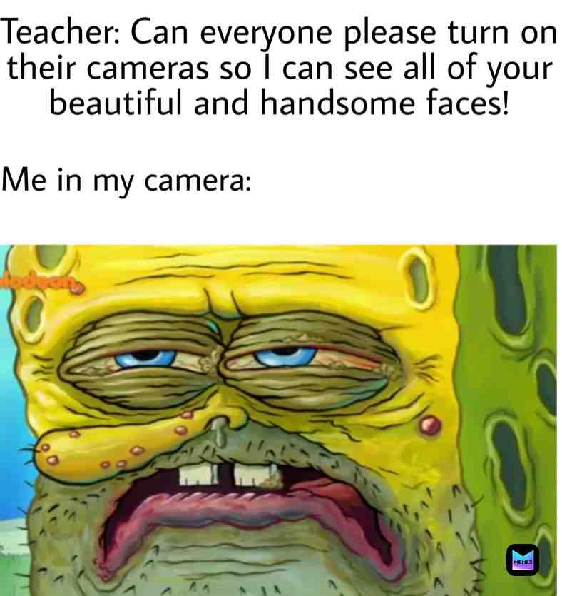 Meme shared by @princessIsabel