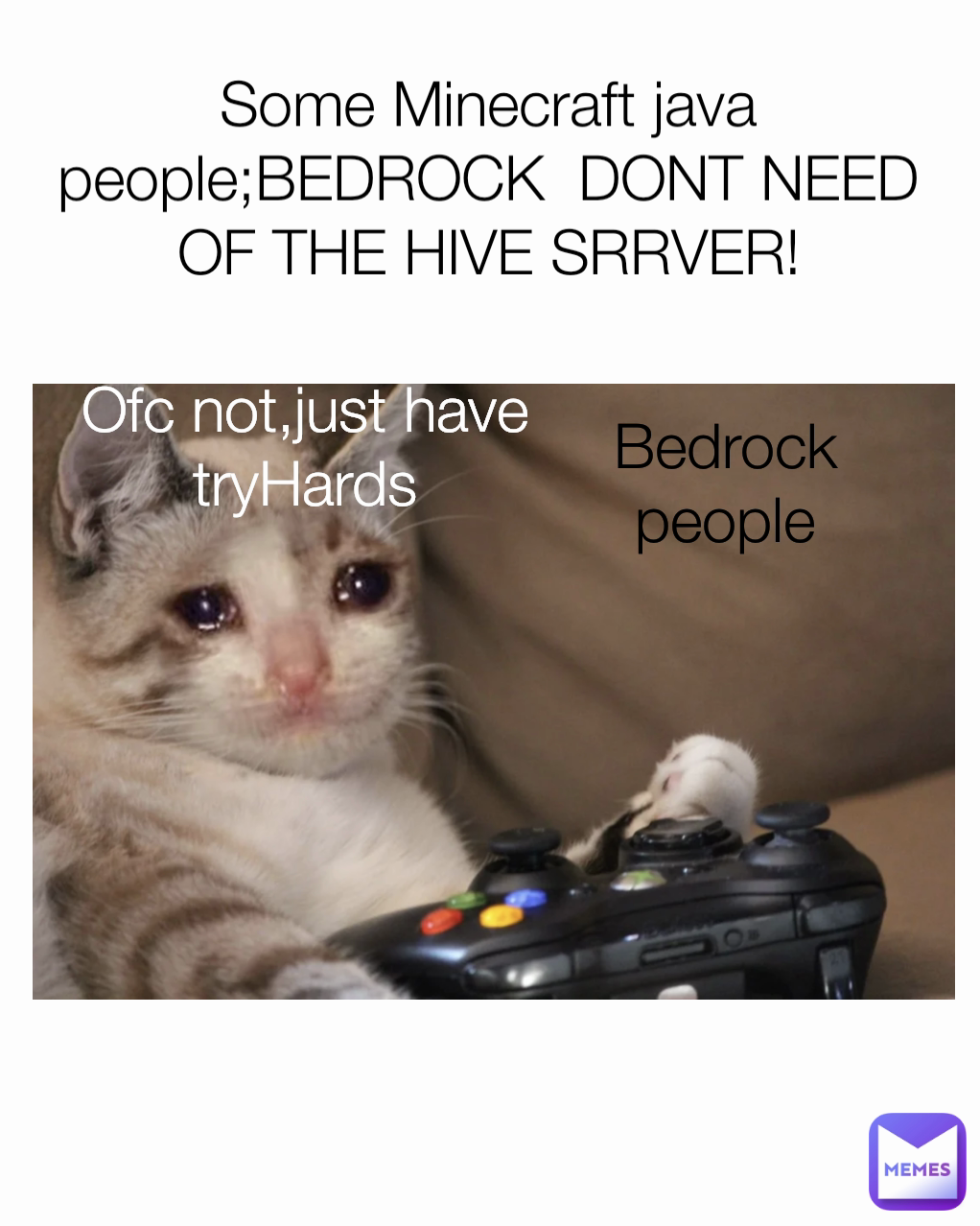 Bedrock people Some Minecraft java people;BEDROCK  DONT NEED OF THE HIVE SRRVER! Ofc not,just have tryHards