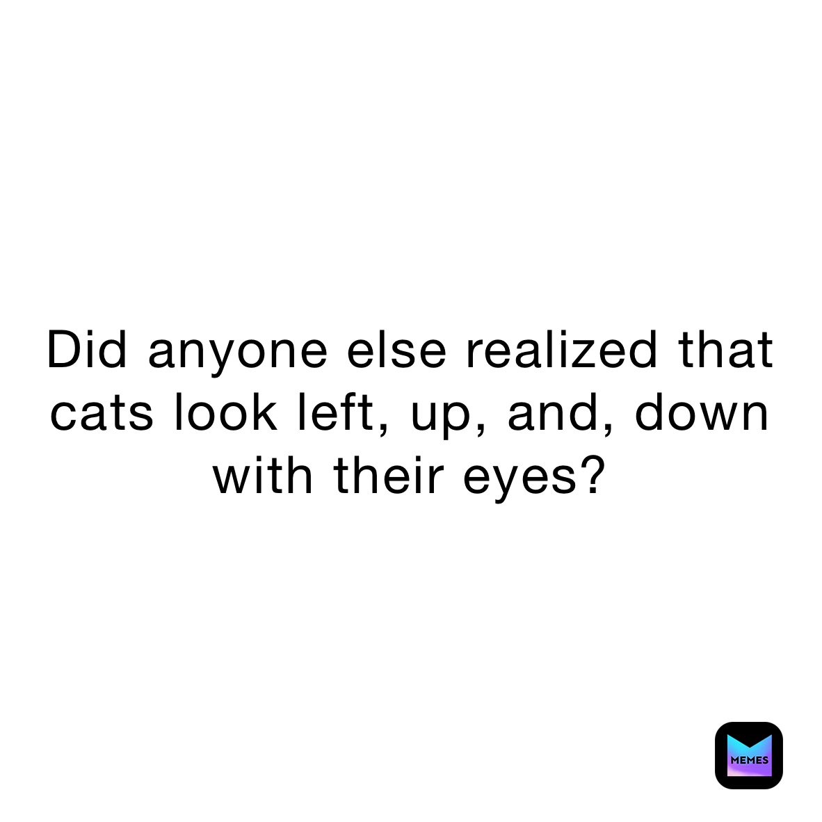 Did anyone else realized that cats look left, up, and, down with their eyes?