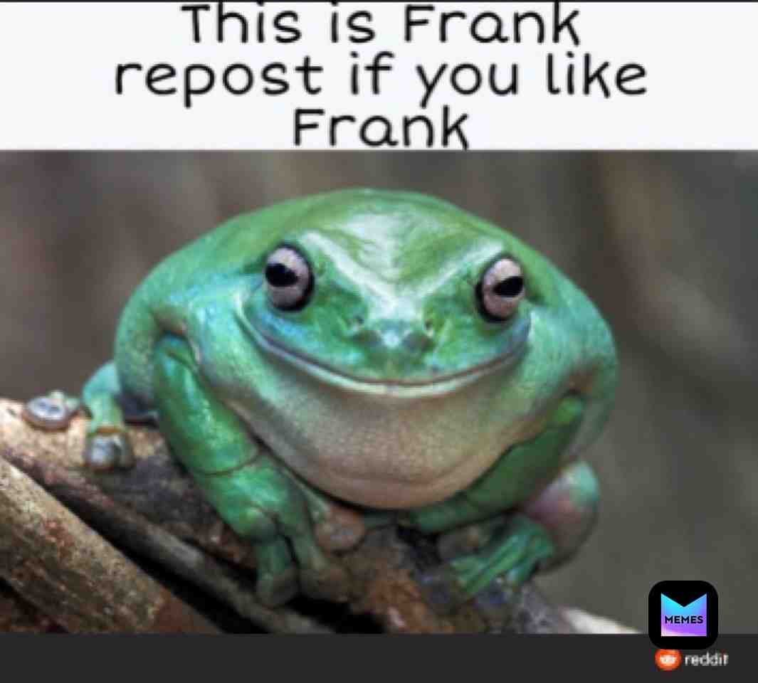 Meme preview