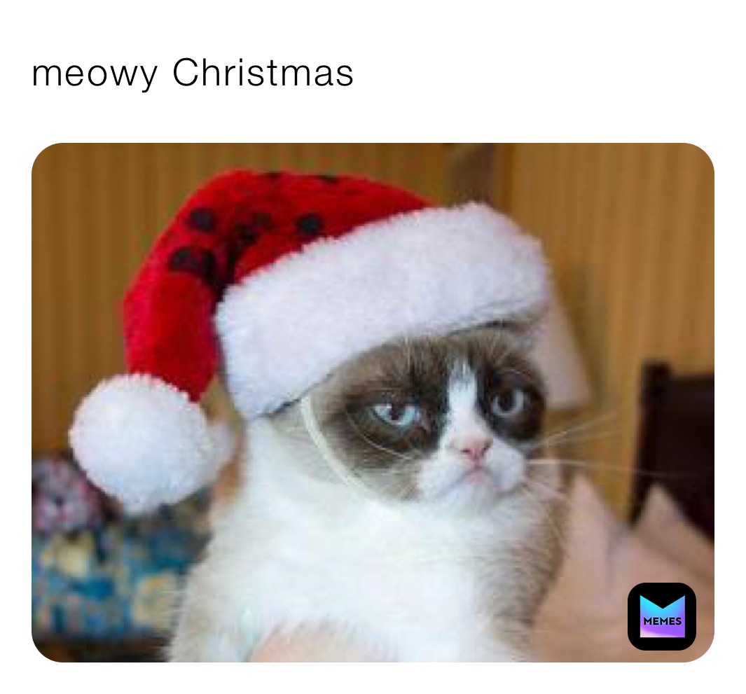 meowy Christmas 